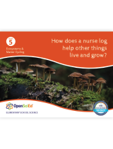 OpenSciEd Grade 5 Unit 1: Ecosystems & Matter Cycling Teacher Edition, Kendall Hunt Publishing, Elementary Science, Phenomenon Based Curriculum