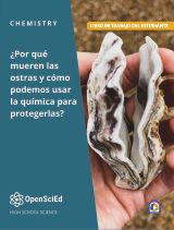 OpenSciEd Chemistry + Earth & Space Unit 4: Chemical Reactions in Our World Spanish Student Workbook