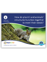 OpenSciEd Grade 4 Unit 4: Structure & Function Teacher Edition