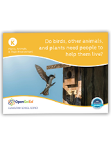 OpenSciEd Grade K Unit 4: Ecosystems Teacher Edition