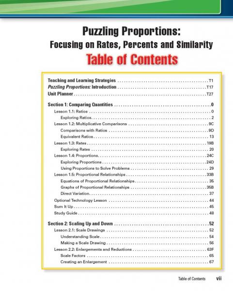 Puzzling Proportions TE TOC page vii.JPG