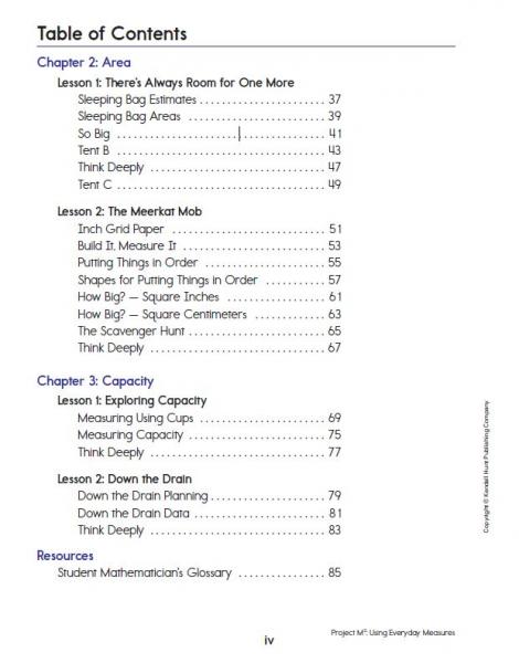 Using Everyday Measures SMJ TOC page iv.JPG