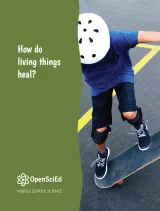 Kendall Hunt OpenSciEd Unit 6.6: How do living things heal? Student Edition