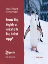 Kendall Hunt OpenSciEd Unit 8.6: How can things living today be connected to the things that lived long ago? Teacher Edition
