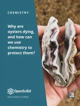 OpenSciEd Chemistry + Earth & Space Unit 4: Chemical Reactions in Our World Student Edition, Kendall Hunt Publishing, High School Science OER