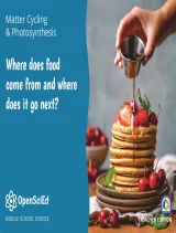 OpenSciEd Unit 7.4: Photosynthesis & Matter Cycling Teacher Edition